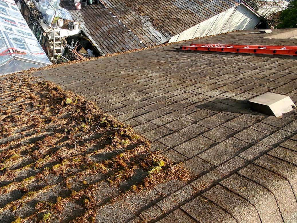 Cleaning moss from roof shingles to restore asphalt shingles Cleaning moss from roof shingles to restore asphalt shingles